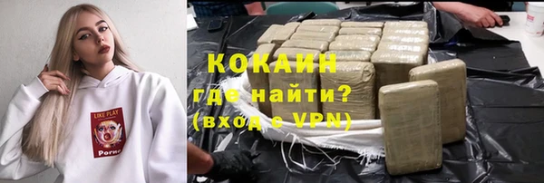 дживик Дмитров