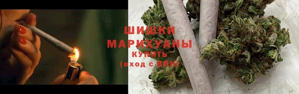 дживик Дмитров