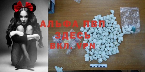 дживик Дмитров