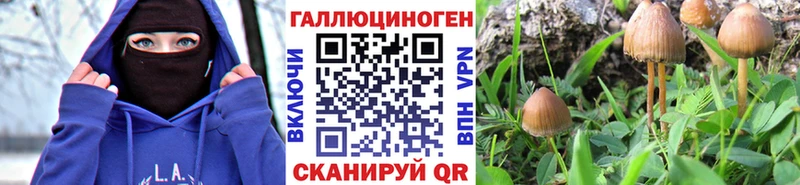 Псилоцибиновые грибы MAGIC MUSHROOMS  Купить  Киров 