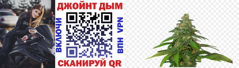 Купить Киров Бошки Шишки VHQ